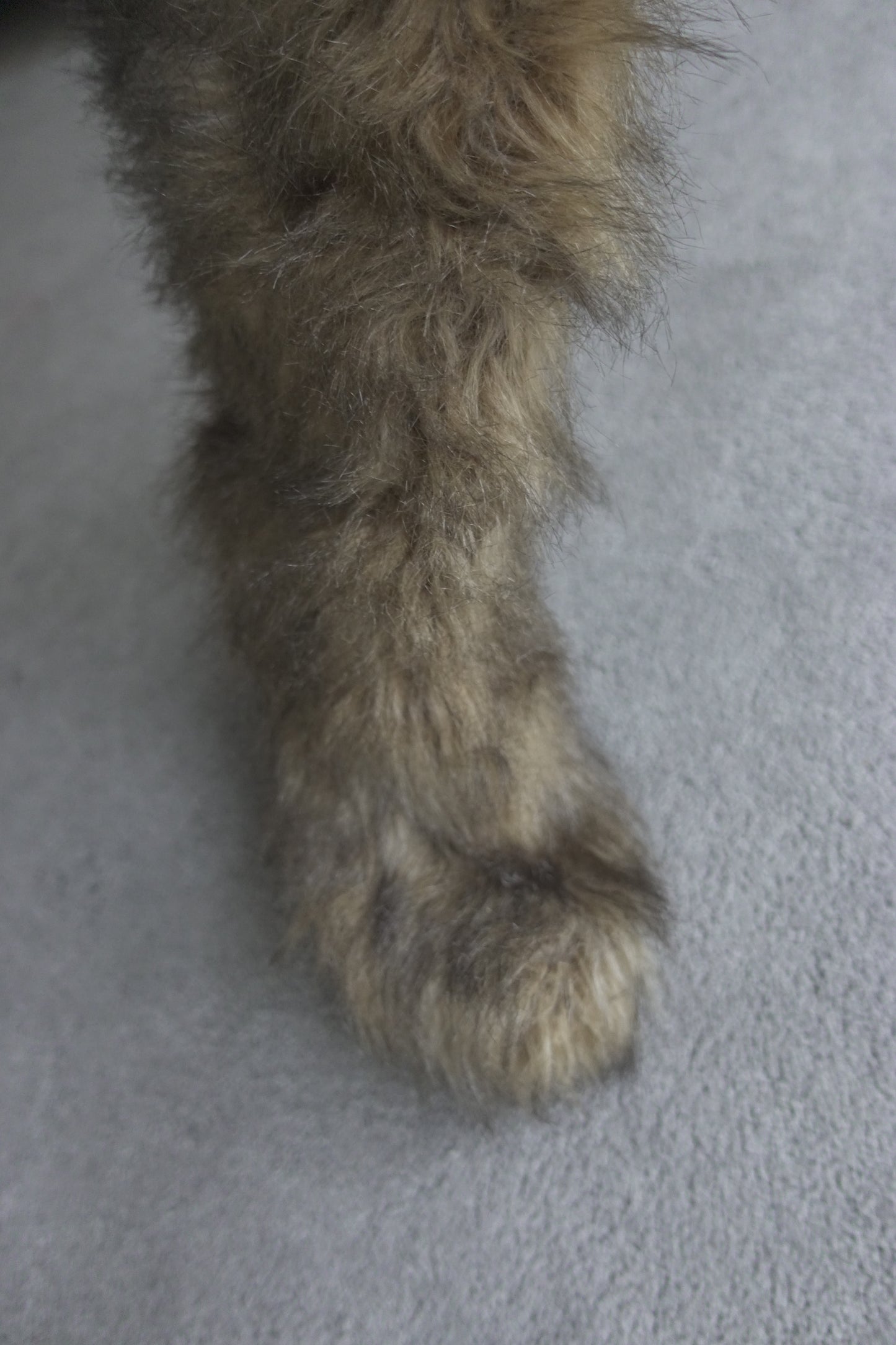 Prada FW 1999 faux fur boots
