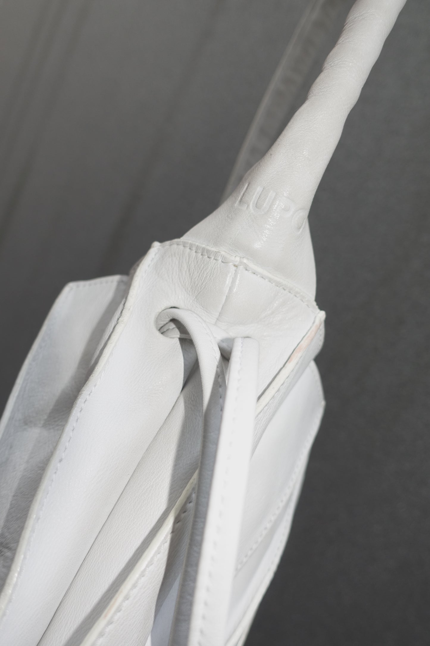 Lupo Abanico bag